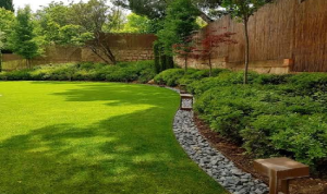 Beautiful landscaped luxury green gardens and walkways